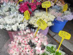 -循礼门鲜花花市(武汉循礼门店)