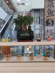 -欧扬医疗美容