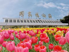 -国家植物园南园