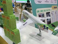 -贵阳龙洞堡国际机场-T2航站楼