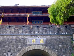 -孙奶奶葱包桧