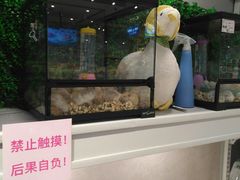 -狗道宠物(常熟印象城店)