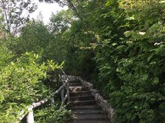 -白草畔自然风景区