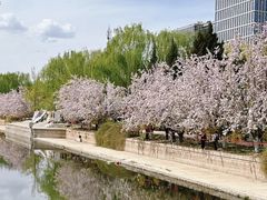 -海棠花溪(元大都城垣遗址公园)
