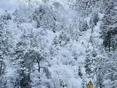 -武陵山森林公园