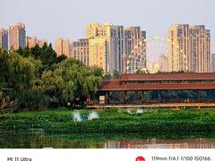 -洋湖国家湿地公园