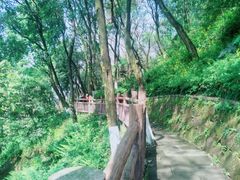 -重庆平顶山公园