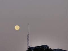 -咬不得高祖生煎·简餐(城站店)