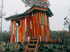 -秀丽东方