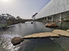 -罗红摄影艺术馆