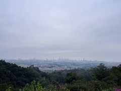 -火炉山森林公园