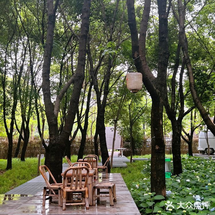 上海|三家郊区宝藏咖啡馆合集☕️☕️🍵🍽️🍰