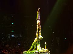 -珠海横琴长隆《卡卡虎奇遇记》