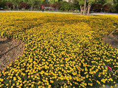 -上海市龙华烈士陵园