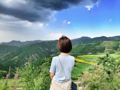 -云顶山风景区