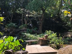 -绿光森林餐厅