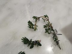 -哈根达斯(深圳海岸城店)