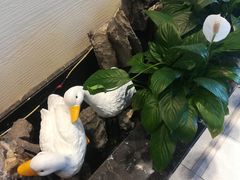 -民福居烤鸭店(石榴庄店)