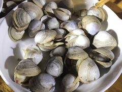 白蛤-老青岛海鲜烧烤大排档