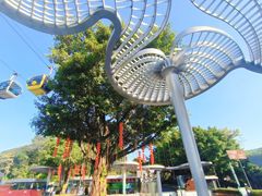-广州市白云山风景名胜区