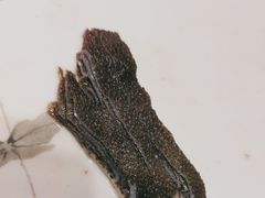 -百叶居·老北京涮羊肉(鼓楼店)