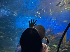 -太平洋海底世界