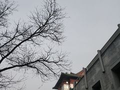 -止观小馆·辽河口渔家菜(王府井店)