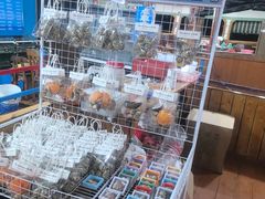 -蓝湾碧波·老字号·疍家非遗海上餐厅