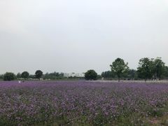 -爱神摄影美学馆