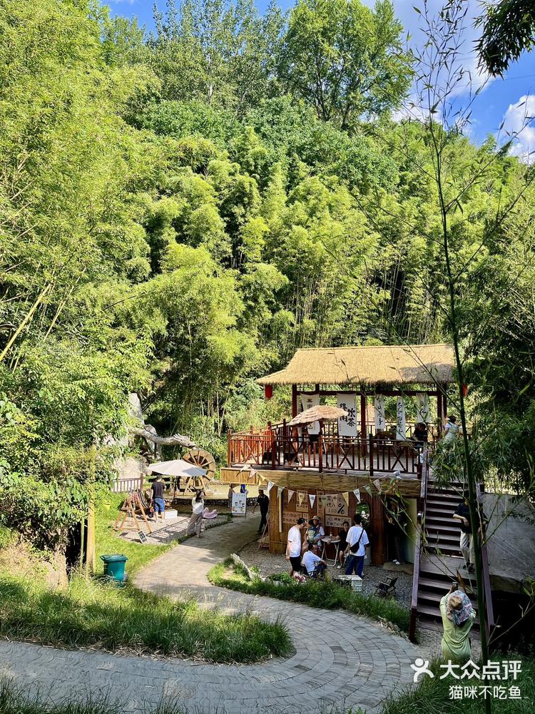 关注 离西安不远的天然氧吧97 在西安这么久了,还是第一次去鲸鱼沟