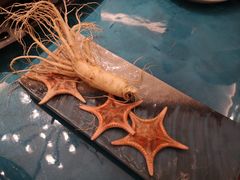 鲜人参锅底-千岛蚝高压锅生蚝·人参火锅(白云万达店)