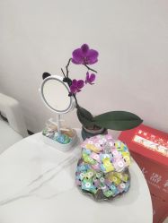 -幼泡泡连锁美容医疗
