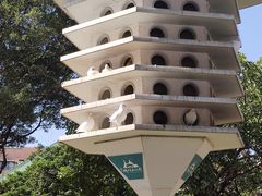 -顺峰山公园