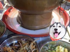 -上二楼涮肉馆(顺义二中店)