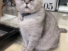 -Oasis绿洲银饰珍珠手作diy(壹方城店)