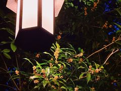 -天目湖涵田半山温泉