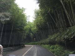 -径山寺