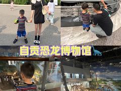 -自贡恐龙博物馆