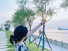 -汴河街