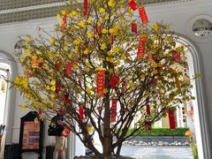 -富国岛翡翠湾 JW 万豪度假酒店