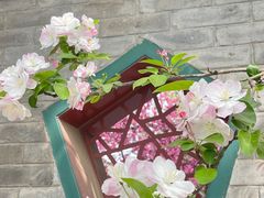 -国家植物园