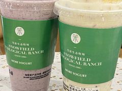 -茉酸奶(春熙路店)