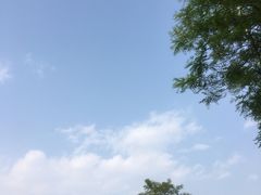 -秃鹫湾·推理大师沉浸式实景演绎推理剧场