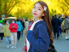 -三里屯东五街银杏大道