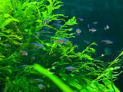 -上海海洋水族馆