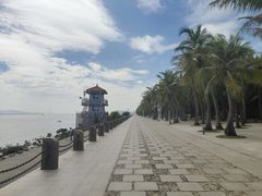 -深圳湾公园(南山区)