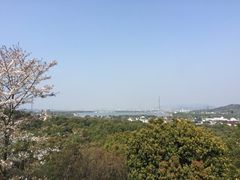 -香雪海