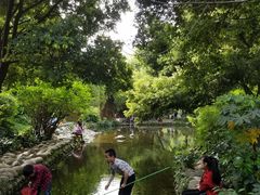 -成都市活水公园