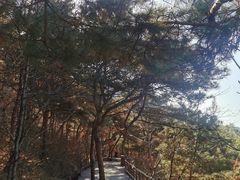 -丹东凤凰山景区
