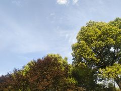 -杭州城北体育公园